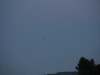 uge31 2011 198