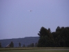 uge31 2011 199