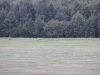 uge31 2011 352