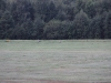 uge31 2011 353